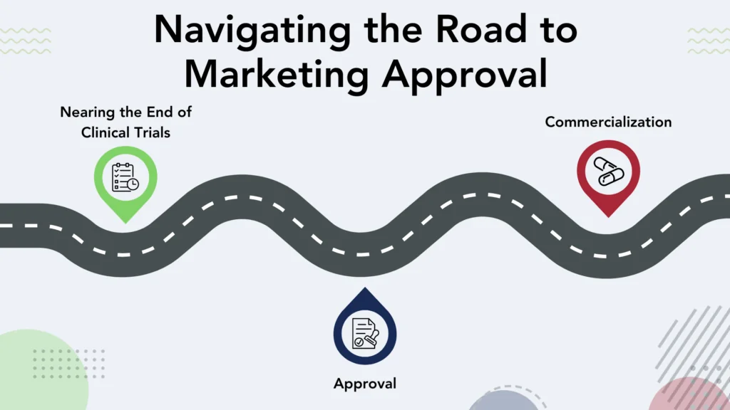 Navigating the road to FDA Marketing Approval